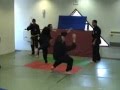 Koga Ryu Ninjitsu