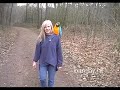 tame macaw