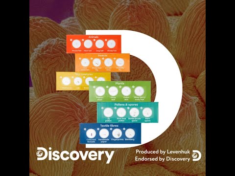 Discovery Prepared Slides Review