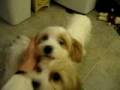 videos de MVI 0035