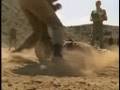 French Foreign Legion - Clip 2REP -  Le 2 REP en action!