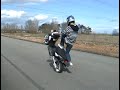 stunt stunt