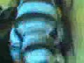 Thumbnail #3