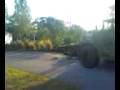 videos de Tree Pulling at MOSI BioWorks Butterfly Garden
