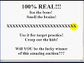 How To Make & Imbed an Image Slideshow For Your Ebay Ad 3 of 3