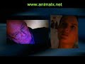 Animal X Natural Mystery Unit - Ghostly Creatures Part 5 Animal X Natural Mystery Unit - Ghostly Creatures Part 5