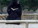 May 31 2008 - VID00039