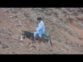 DESCUBRIENDO MARRUECOS