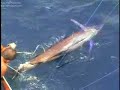 Marlin 1030 Lbs