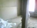 Premiere Suite