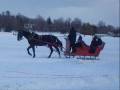 videos de Sleigh Ride By Arthur Fiedler