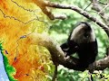 Lion Tales of Kanara