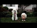 Dont take your body for granted - Dogwalker