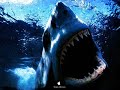 Dane Cook- Bees & Sharks