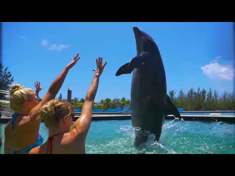 Testimonials from Travelers on their Cruise Experiences VoyGroup06