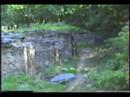 Predator Vs WestVirginia (Part 1) Predator Vs WestVirginia (Part 1)