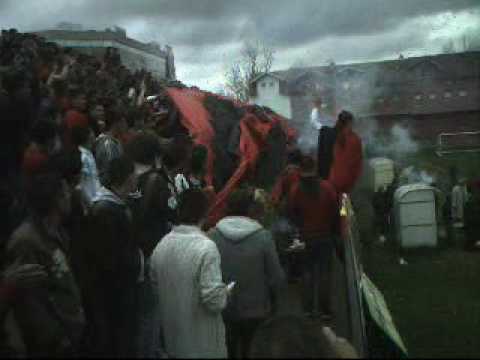 shqiponjat e zeza