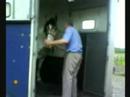 Sophie `s First Day
