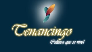 CARNAVAL TENANCINGO TLAXCALA EN SU EDICIÓN 2016.