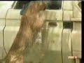 kenya attack kenya attack