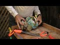 abalone shucking