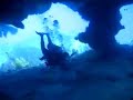 Giant Sea Fan