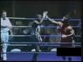 Stupid Boxing