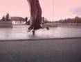 Ryan Fitzpatrick freestyle