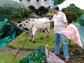 PASEO A MARQUETALIA, MANIZALES Y PEREIRA