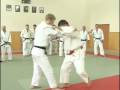 harai goshi