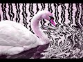 Ripple by the Grateful Dead (magic mushroom-inspired s-show)