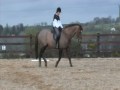 Helen Para-Olympic Dressage