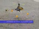 E-Sky Honey Bee King II @ toyzcastle.com E-Sky Honey Bee King II @ toyzcastle.com