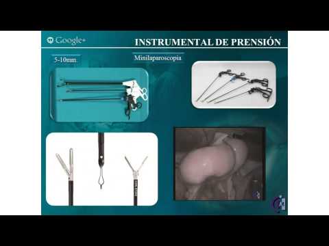 Retoscopia rígida - Conexión online y en directo con el Centro de Cirugía de Mínima Invasión Jesús Usón (CCMIJU) para la realización de la sesión teórica de introducción del Taller de Simulación Virtual...