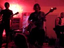 Hyenas