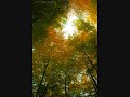 KNAPPERTSBUSCH Bruckner No.4  RONANTIC mov.1 part1