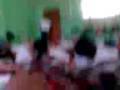 videos de siesta