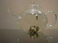 1000-day-flower-blooming-tea.html