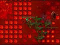 Tibia The Land Where Dragons Rule