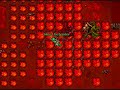 Tibia The Land Where Dragons Rule Tibia The Land Where Dragons Rule