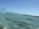 videos kitesurf