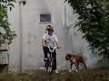 voli assurdi con lo slittè voli assurdi con lo slittè