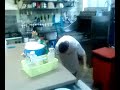 patissier