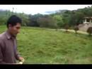 Albergue Valle Kuelap Parte 1 Albergue Valle Kuelap Parte 1