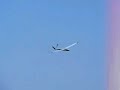 Scale SHK 4.4 M Sailplane Takes Flight