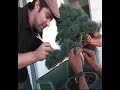 bonsai wiring