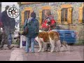 San Carlos de Bariloche