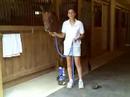 Easycare products for foals