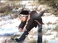 Toonami:Tenchi Muyo Preview Promo:\"Love Stinks\" Toonami:Tenchi Muyo Preview Promo:\"Love Stinks\"