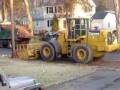 videos de LPW in late fall action